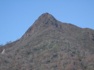 山頂近くの拡大